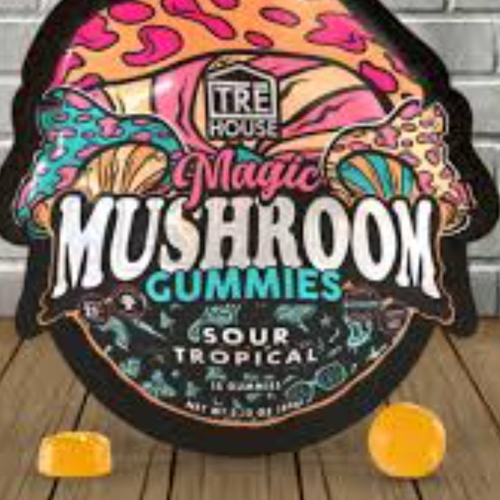 Tre House Magic Mushroom Gummies Sour Tropical 15 Gummies — mushrooms at Marietta Vapes smoke shop in Marietta, GA