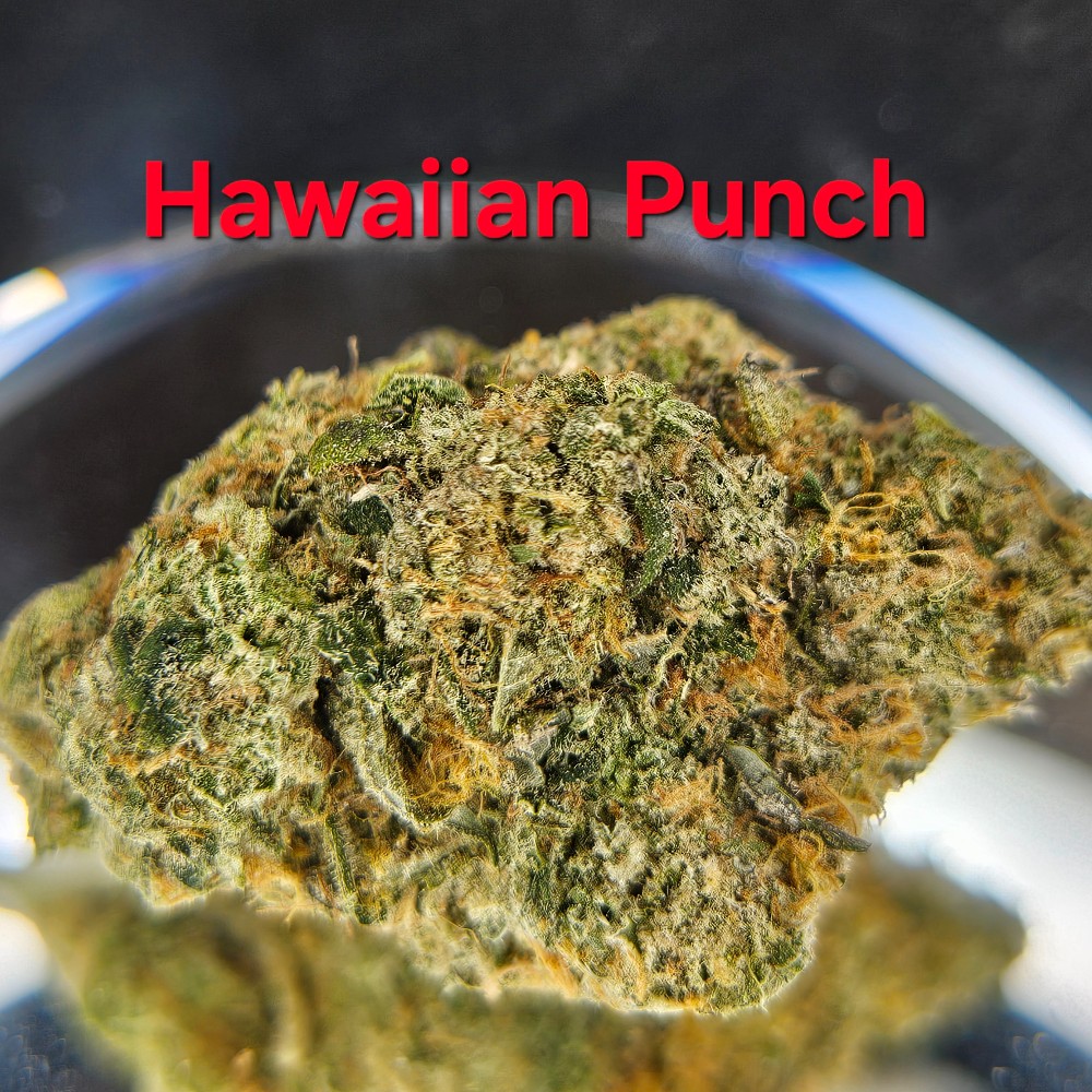 Hawaiian Punch | THCA Flower products