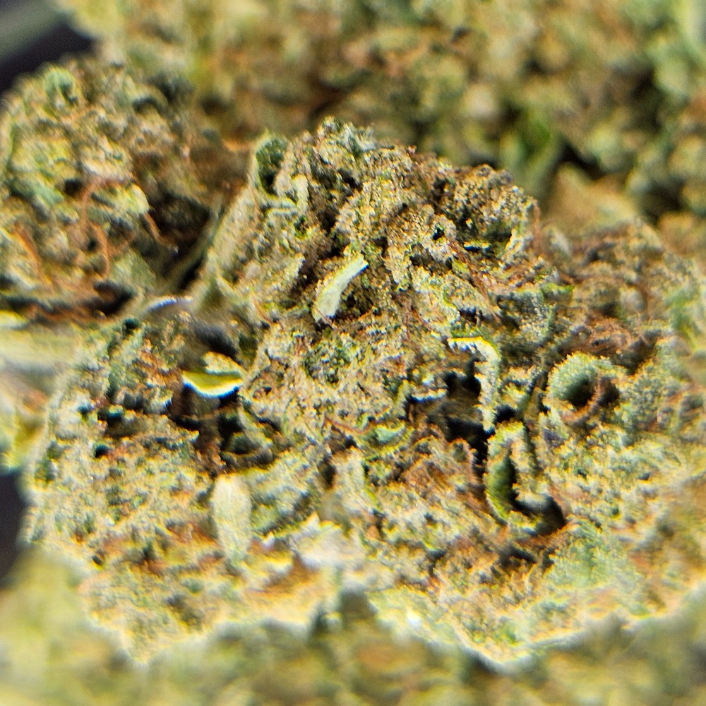 Lemon cherry THCA Flower products | Healing Sensations Smoke Shop