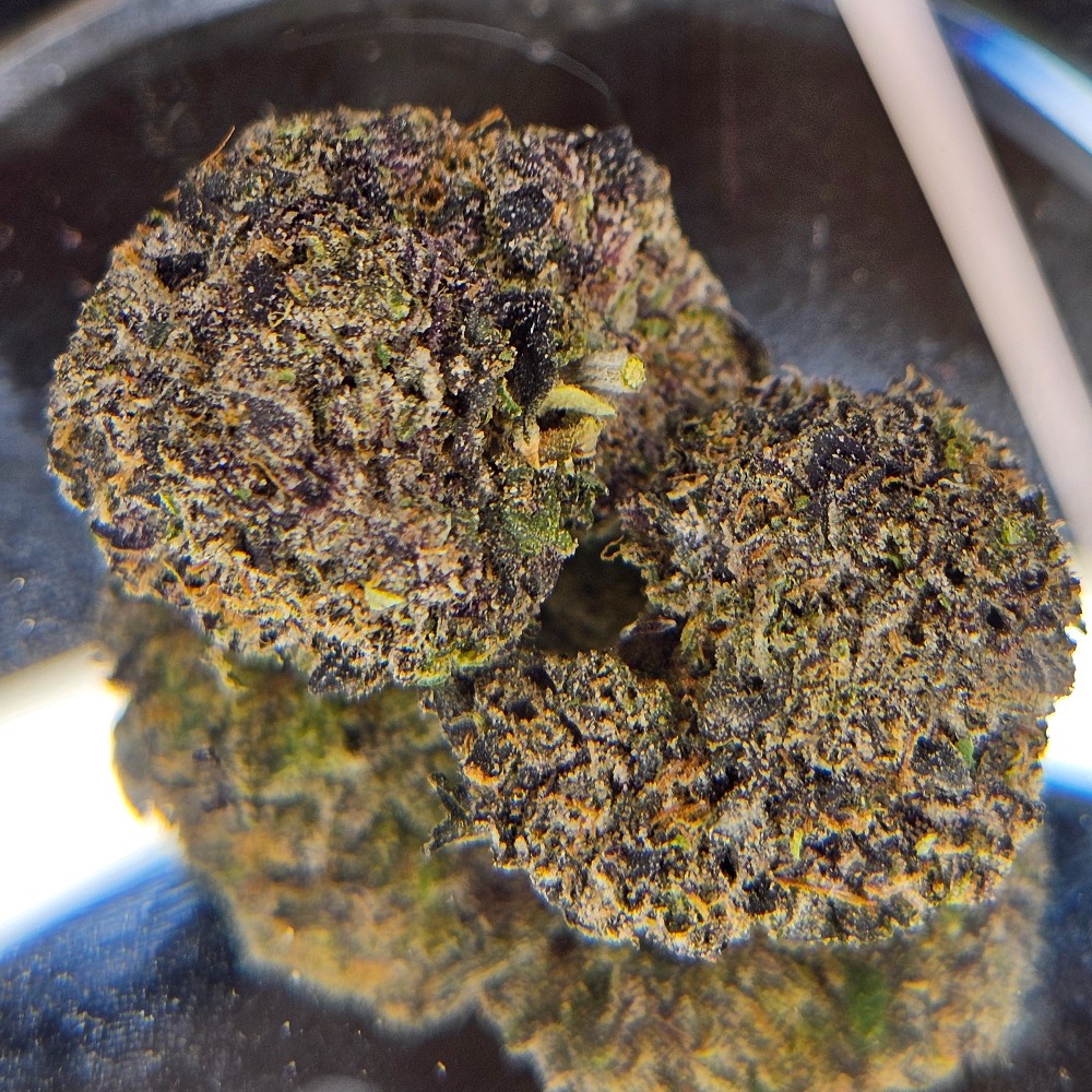 Gumbo THCA Flower products | Healing Sensations Smoke Shop